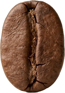 巫里